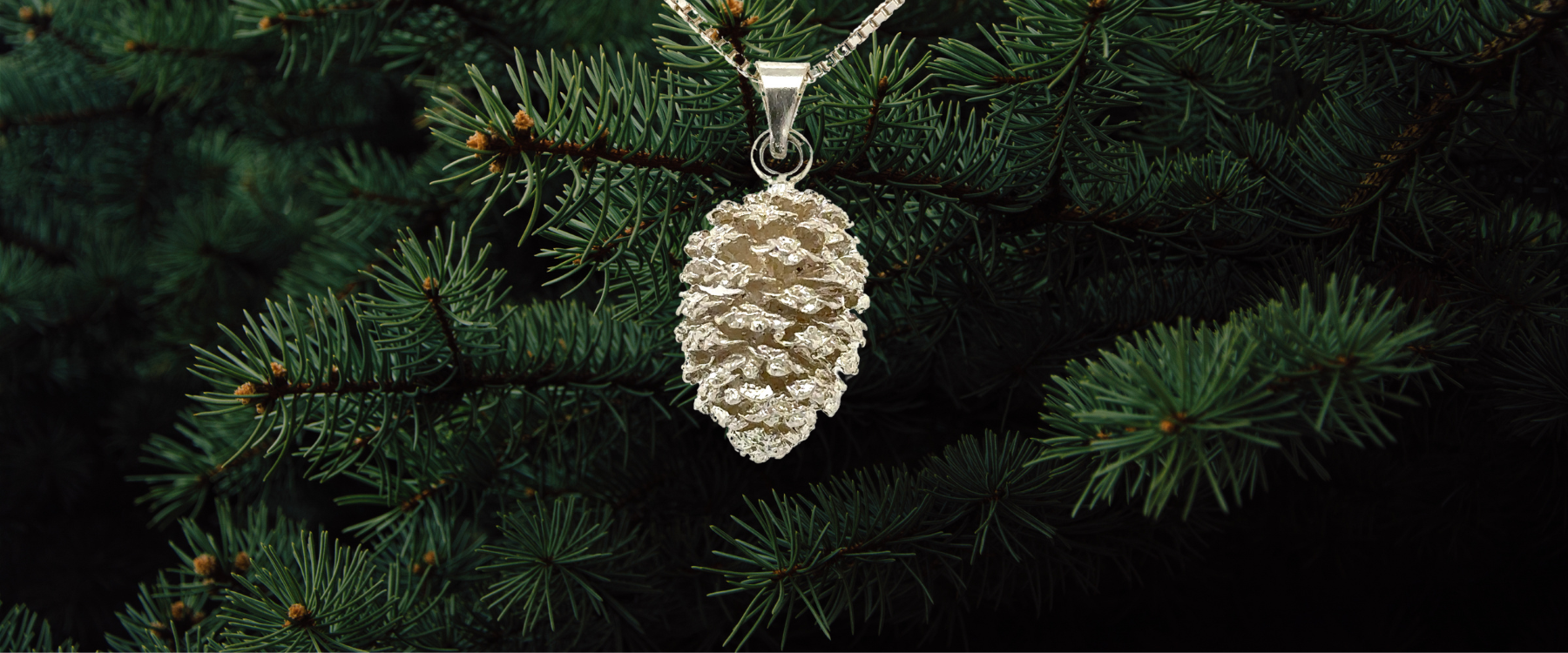 Lake Tahoe Pinecone Collection